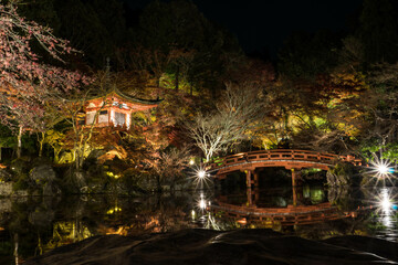 京都 夜の醍醐寺・弁天堂のライトアップされた秋景色