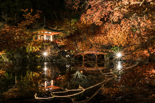 京都 夜の醍醐寺・弁天堂のライトアップされた秋景色