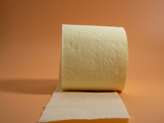 Roll of Toilet paper on an orange background.