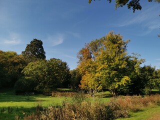 Fototapeta premium Herbst