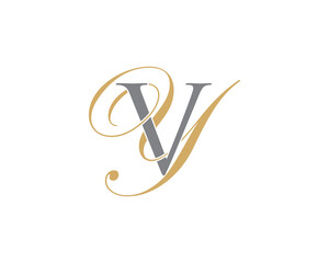 Letter V and Y Logo Icon 001