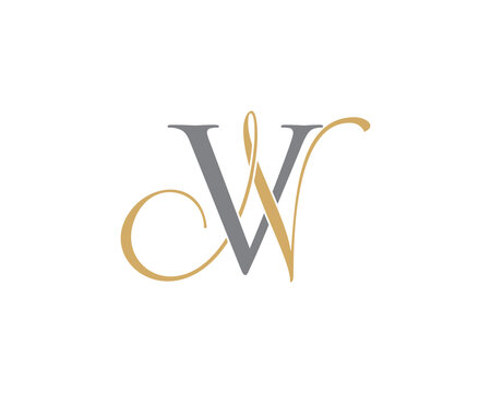 Letter V and N Logo Icon 001