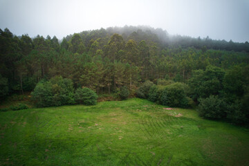 Fototapeta na wymiar Vista paronímica de un bosque desde un drone con niebla de fondo