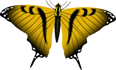 Yellow butterfly with ornate wings. Realistic flying moth