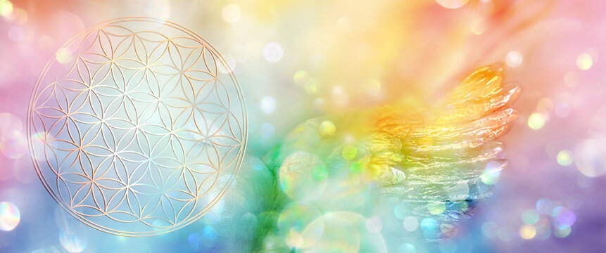 Banner Blume des Lebens mit schillerndem Engelsfl&uuml;gel in einem glitzernden Feld regenbogenfarbenen Lichts