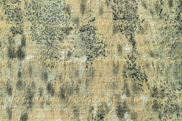 wood background, abstract wooden texture