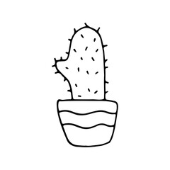 Home prickly cactus in a ceramic pot. Exotic and tropical plant. Doodle. Vector illustration. Hand drawn. Outline.