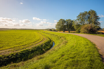 Winding country road on a dike in the Dutch province of South Holland. At the bottom of the dike is a field and a ditch. The photo was taken on a sunny day at the beginning of autumn.