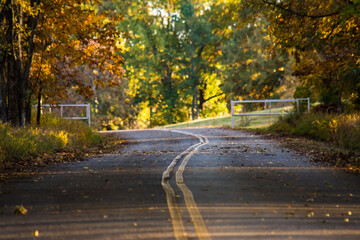 road in autumn