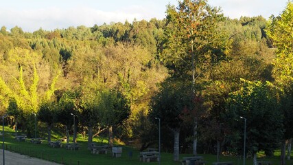 área de descanso con mesas y bancos en el río ulla entre bosques de castaños y robledales, la coruña, españa, europa