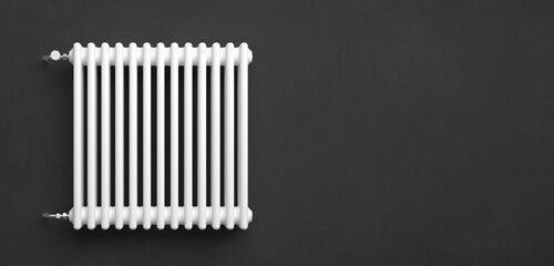 Classic Radiator in front of background - 3D Illustration