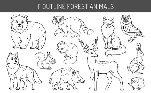 A set of forest animals on an isolated background. Cute contoured animals in cartoon style vector