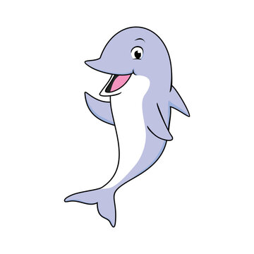 dolphin cartoon design illustration. cute sea animal icon, sign and symbol.