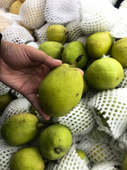 Ripe, Fresh, and Clean Green Pears are Held by Shoppers in Supermarkets for Purchase.