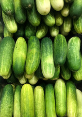 Green cucumbers are neatly displayed on market shelves for sale.