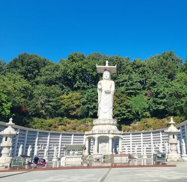 statue of monarch