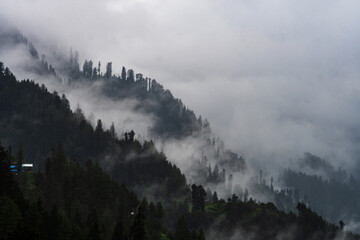 Misty fog blowing over pine tree forest. rainy weather in Himachal Pradesh. fog in Mountains.