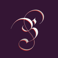 BS monogram logo. Intertwined letter b, letter s icon. Alphabet initials isolated on dark background. Uppercase lettering sign. Decorative design, calligraphic style characters. Elegant typography.