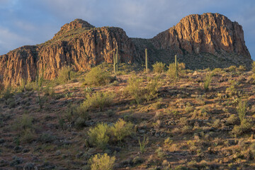 Spring landscape of the Superstition Wilderness Area at sunrise,  Apache Trail, Tonto National Forest, Arizona, USA