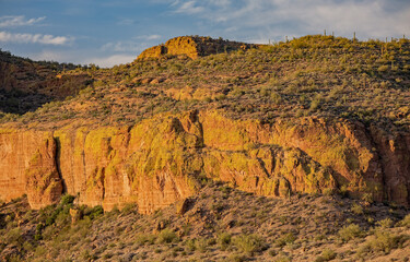 Spring landscape of the Superstition Wilderness Area near sunset,  Apache Trail, Tonto National Forest, Arizona, USA