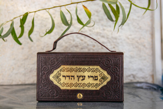 translation: to the golden latter Tree fruit and citrus
Box of etrog
 etrog - esrog in silver box Brown leather box for   (The four species): Etrog