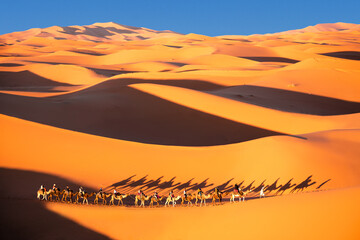 Fototapeta na wymiar Sahara caravan 