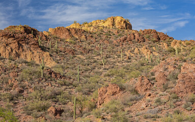 Spring landscape of the Superstition Wilderness Area near sunset,  Apache Trail, Tonto National Forest, Arizona, USA