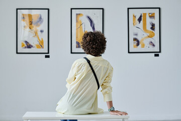 Rear view of young woman with curly hair sitting in front of pictures on the wall and enjoying modern art