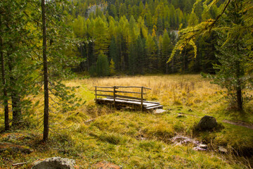 Obraz premium Hochmoor auf dem Weg zur Zirmtalalm im Vinschgau in Herbstlichrer färbung