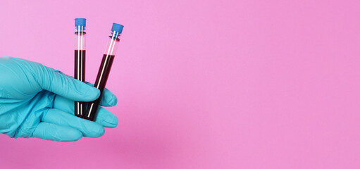 Doctor hands holding two blood test tubes on pink background. hand wear bule latex glove.
