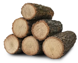 Ingelijste posters pile of six logs isolated, png © conzorb