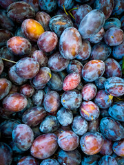  fresh ripe plums as background