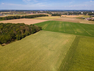 Aerial Flying Over corn, sunflowers, soybean and fields