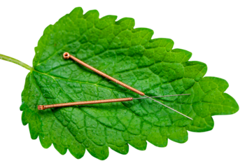 Naturmedizin und sanfte Medizin mit Akupunktur