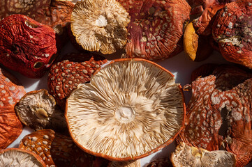 Fly Agaric Dried