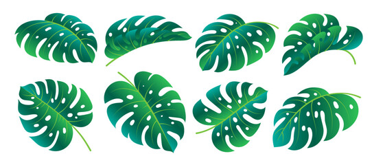 Monstera Deliciosa leaf icon set. Spring hawaiian philodendron foliage. Different shape single leaves isolated on white background. Floral design element. Green gradient tropical exotic plant branch © VasiliyArt