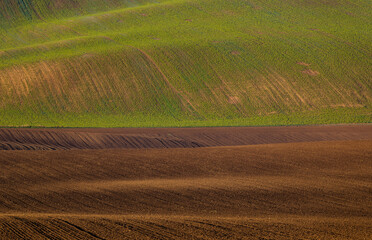 Fototapeta premium Cultivated fields in Czech Moravia, patterns and lines on the ground. Czech Tuscany