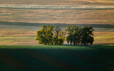 Fototapeta premium A white chapel in a small forest grove in Czech Moravia, autumn