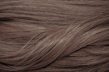 Fototapeta premium Brown hair close-up as a background. Women's long brown hair. Beautifully styled wavy shiny curls. Hair coloring. Hairdressing procedures, extension.