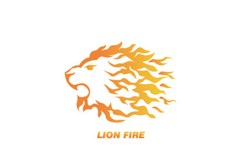Illustration Vector graphic of Lion Fire. fit for Animal Wildlife Flame Lion Logo Design etc.