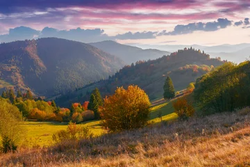 Bäume in buntem Laub auf dem Hügel bei Sonnenuntergang. Blick ins Tal und auf den Bergrücken im Abendlicht. wunderbare ländliche landschaft im herbst © Pellinni
