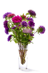 Bouquet of multicolored asters in a glass vase on a white background