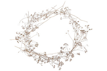 Frame of dry wild meadow grasses or herbs isolated on white background. Border of dry field flowers. Winter pattern background.