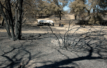 WIld brush forest fire in California.