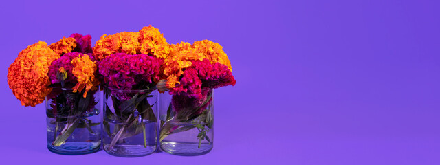 Banner con flores de Cempasúchil para el Día de Muertos en floreros de cristal. Recurso web. 