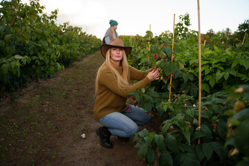 Portrait of female farmer in harvesting ripe raspberry in modern farm.