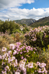Vue sur l'ext&eacute;rieur du Cirque de l'Infernet depuis les pentes du Mont Saint-Baudille