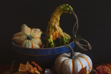 Still Life dark photography of harvest Autumn gourds and pumpkins