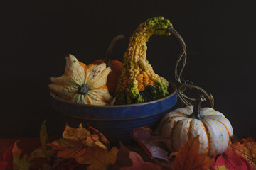 Still Life dark photography of harvest Autumn gourds and pumpkins