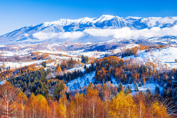 Bucegi - Carpathian Mountains, Romania. Winter landscape, Sirnea village. - obrazy, fototapety, plakaty